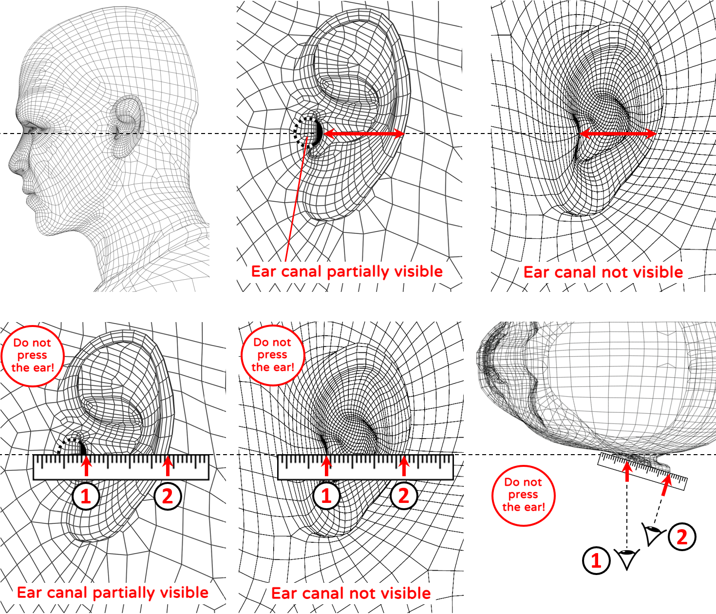 Ear measurement